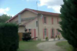 photo Repas poule au pot