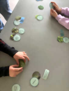 photo Quand la forêt rencontre l’océan