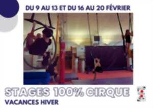 photo Stage 100% cirque avec cirque en scène à Niort