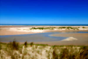 photo Réserve Naturelle Nationale du Platier d'Oye - Visite virtuelle de la réserve naturelle nationale du Platier d’Oye