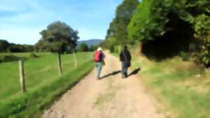 photo Balade à remonter le temps sur le sentier géologique