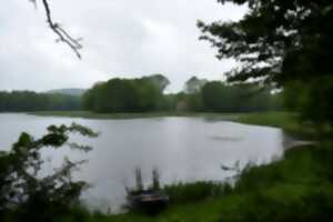 photo Penser et gérer la forêt autrement