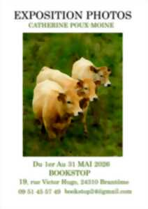 photo Exposition : Gaëlle Jouhaud