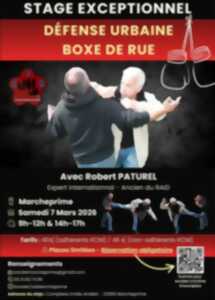 photo Stage de boxe de rue