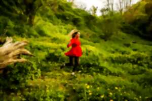 photo Spectacle : 50 ans, présente !