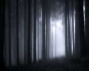 photo Gretel et Hansel - Collège Donzelot