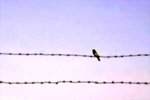 photo Espace Noriac - Cendrillon