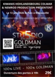photo Concert 100 % Goldman - Tout en reprises