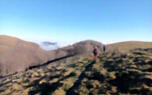 photo Randonnée accompagnée Mendi Gaiak : randonnée hivernale à pied (niveau 2)