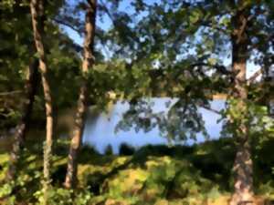 photo Journée Bien être