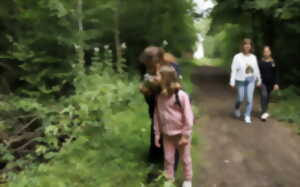 photo Les plantes médicinales