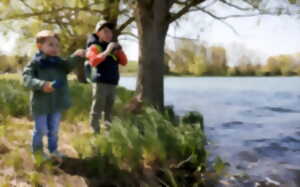 photo Création d'un gîte à chauve-souris