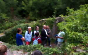 photo Le château de la Robertière : un géant oublié de la forêt