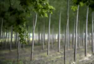 photo Imagine ta forme des lieux