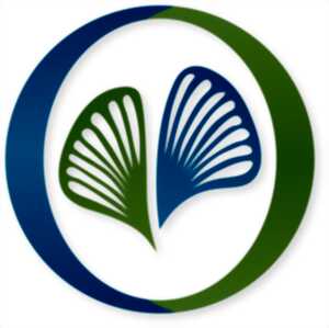 photo Atelier d'épanouissement personnel à l'Espace Ginko