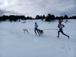 photo CHAMPIONNAT DE FRANCE NEIGE DE CANICROSS