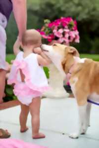 photo Atelier Médiation animale avec l'association  