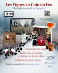 photo Balade hivernale au Château Champion