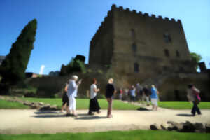 photo Visite de la ville de Mont de Marsan