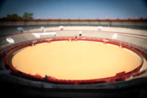 photo Visite des Arènes du Plumaçon