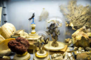 photo Cabinet de curiosités : des personnages de contes