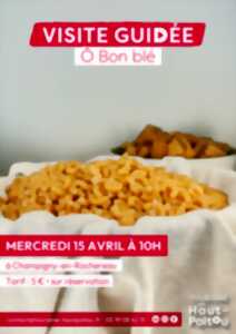 photo Visite de l'entreprise Ô Bon Blé