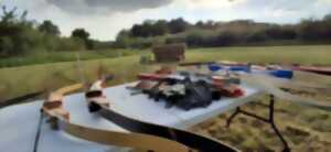 photo Activité : initiation au tir à l'arc