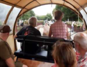 photo Activité : balade en calèche