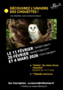 photo Escapades nocturnes dans l'univers des chouettes