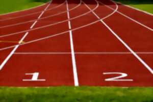 photo Olympiades (8-16 ans)