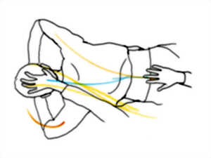 photo Stage Danse & Santé