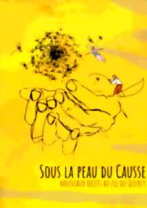 photo Veillée-spectacle 