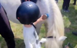 photo Les balades à cheval