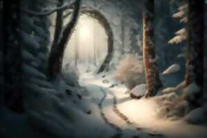 photo LA FORET DE PATOUFET