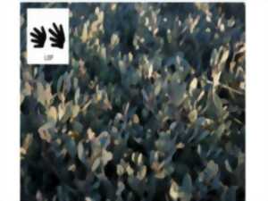 photo A la découverte des plantes - Sortie traduite en Langue des Signes Françaises