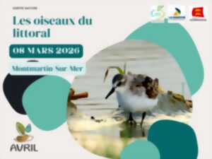 photo Les oiseaux du littoral