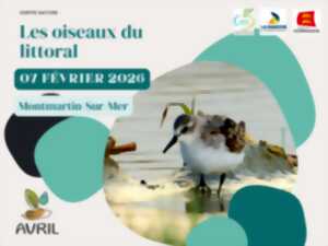 photo Les oiseaux du littoral