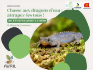 photo Chasse aux dragons d'eau : attrapez-les tous !