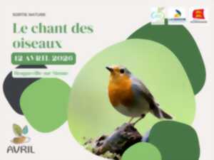 photo Le chant des oiseaux