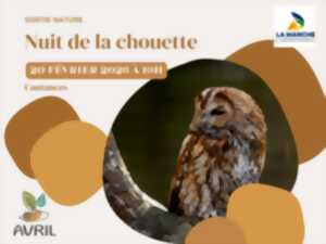 photo Nuit de la Chouette