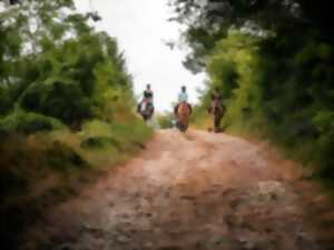 photo Rallye équestre et randonnée pédestre