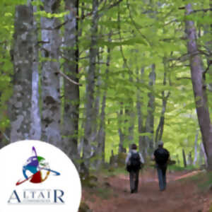 photo Conférence Ataïr : Dans les forêts