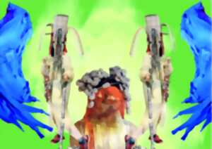 photo STAGE CARNAVAL - Expression Corporelle et  Costumes