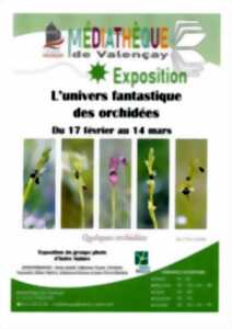 photo Exposition l'univers fantastique des orchidées