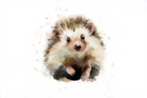 photo Le hérisson météo