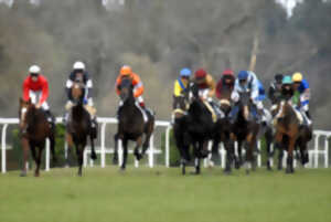 photo Courses hippiques