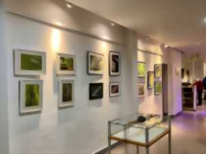 photo Exposition de photos du LAN au Foyer Rural