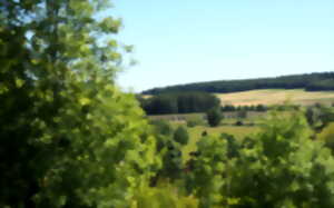 photo L'Odyssée Royale