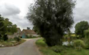 photo Ferme les Gâtines Rouges