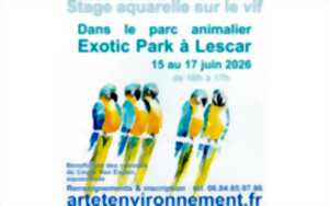 photo Stage aquarelle sur le vif